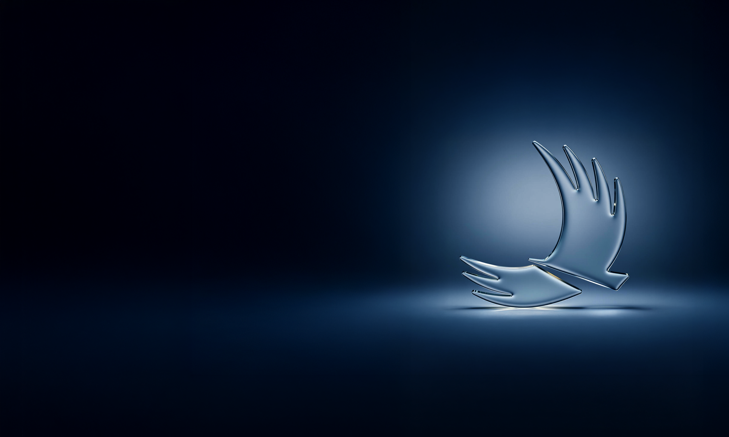 VistaBird_DarkBlue