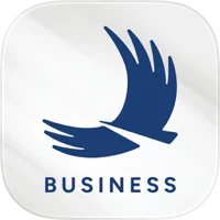 Vista Business Treasury App Icon